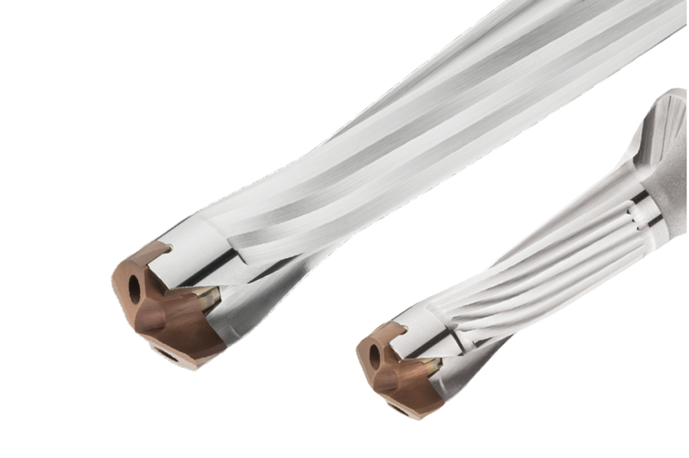 Punte a cuspide intercambiabile DXAS