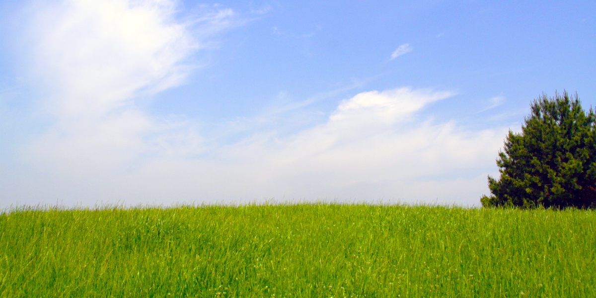 Produtos ecologicamente corretos